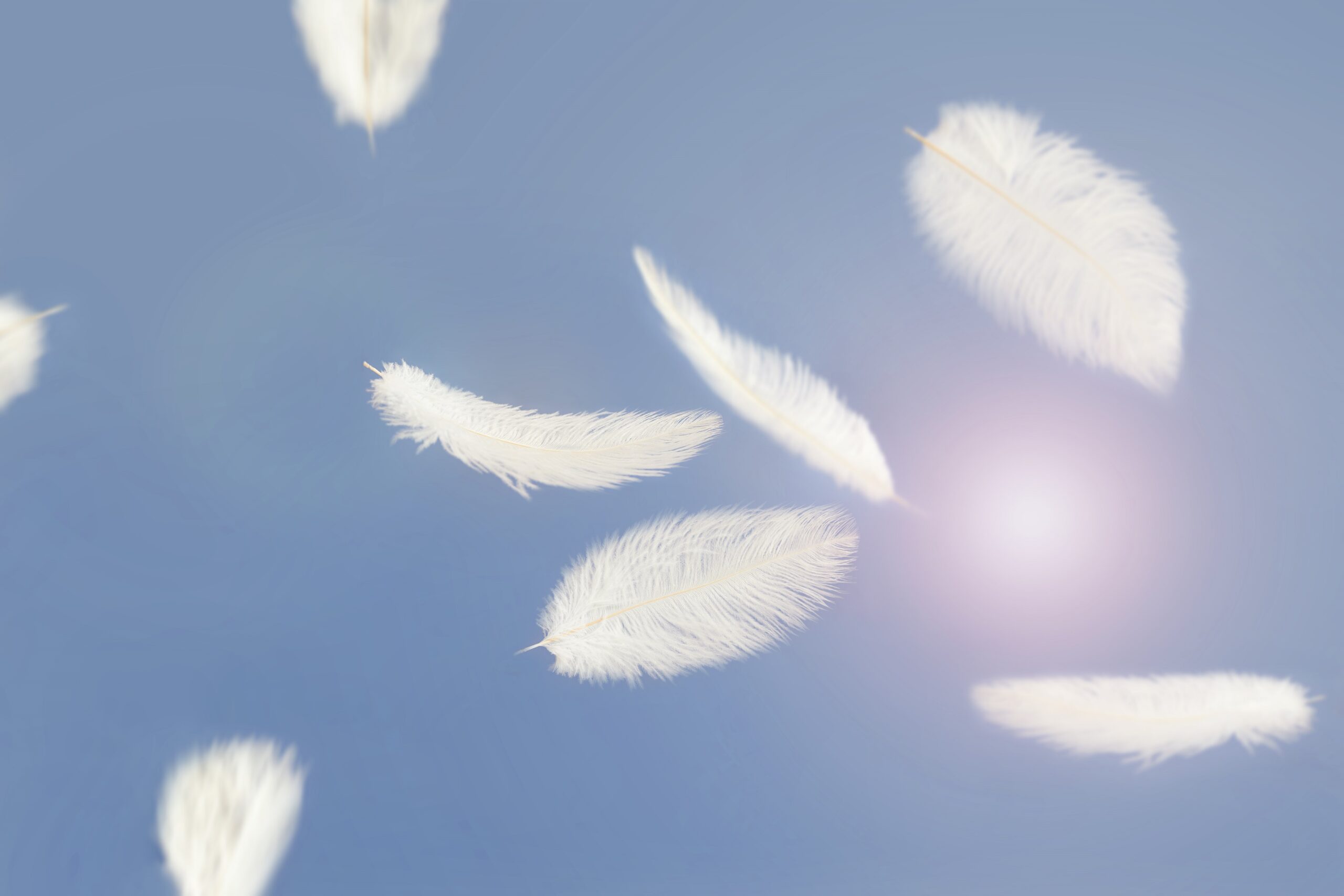 Foto raffigura delle piume bianche che scendono dolcemente verso il basso e rappresenta il sollievo dal dolore.