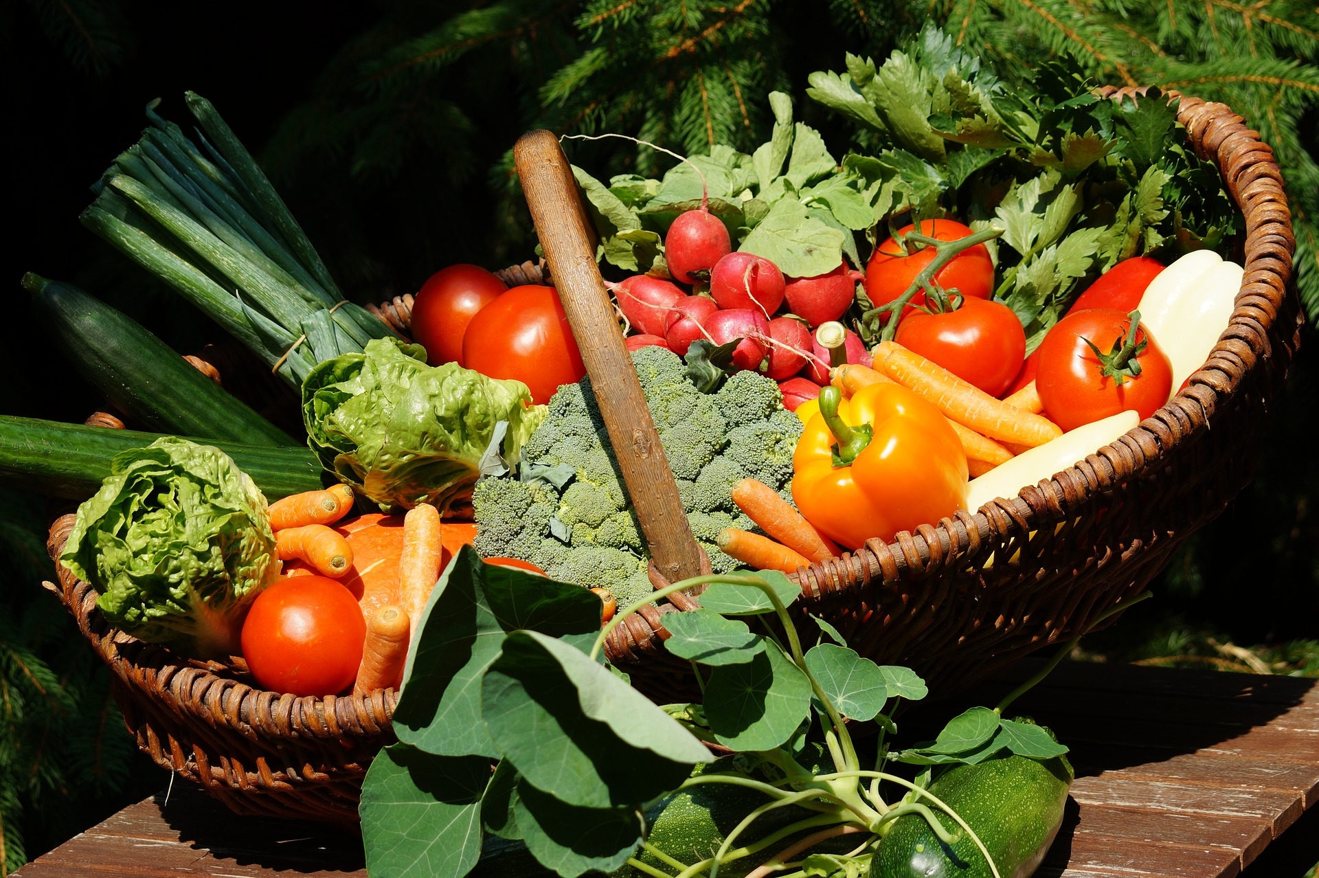 sicurezza alimentare