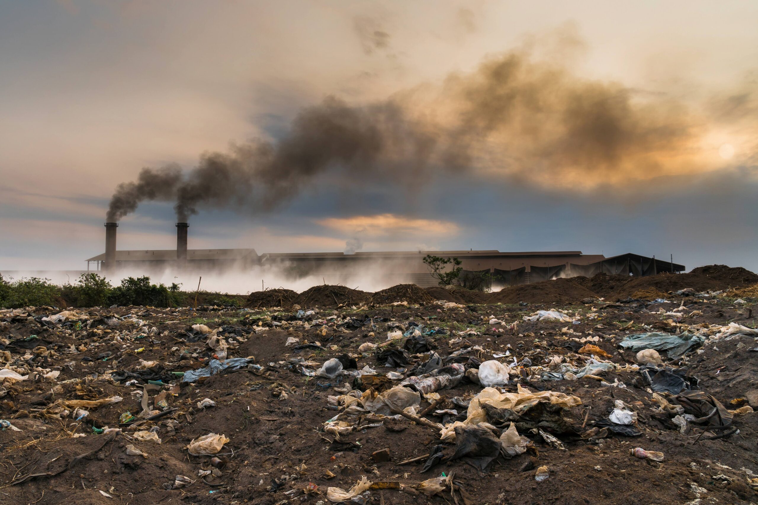 L’OMS, tramite un suo studio, ha attestato che il 25% delle malattie è direttamente causato dall’ambiente in cui si vive