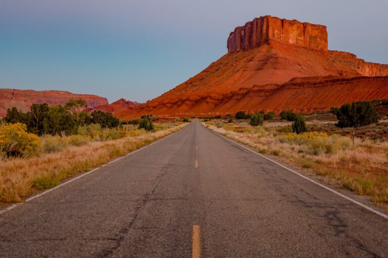 roadmap per la salute mentale