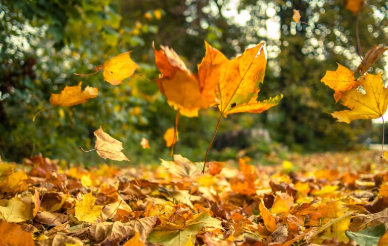 medicina generale autunno