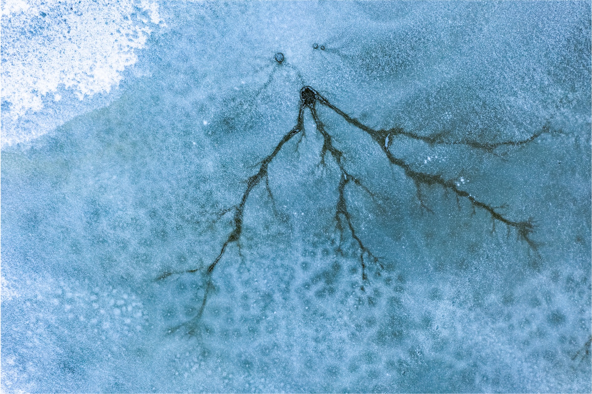 tumori urologici crescita