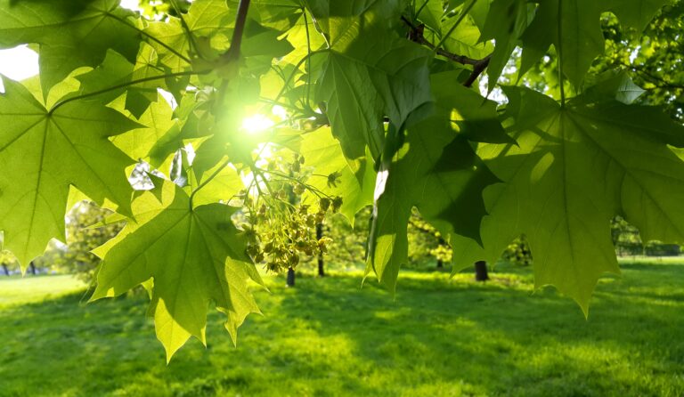 L’iniziativa, nata sulla proposta di legge popolare dell’associazione Luca Coscioni, segue l’esperienza toscana