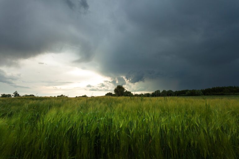 Sono oltre le 750 mila infezioni urinarie l’anno in Italia legate alla somministrazione fai-da-te degli antibiotici. «Pratica rischiosa per la propria salute e per l’ambiente» fanno sapere dalla SIU