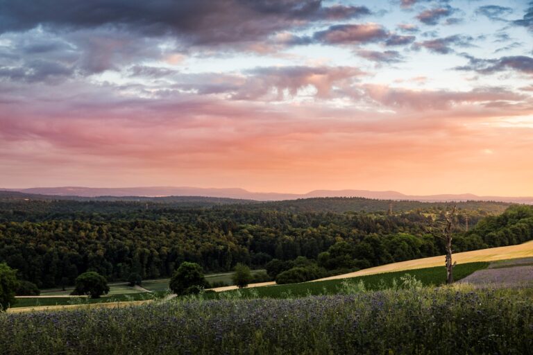 Ogni anno in Italia vengono eseguiti circa 100.000 interventi al menisco. Gli esperti della SIOT spiegano come prevenire, diagnosticare e trattare una delle lesioni ortopediche più diffuse, con particolare attenzione alle nuove tecniche mini-invasive e alle prospettive future della rigenerazione tissutale