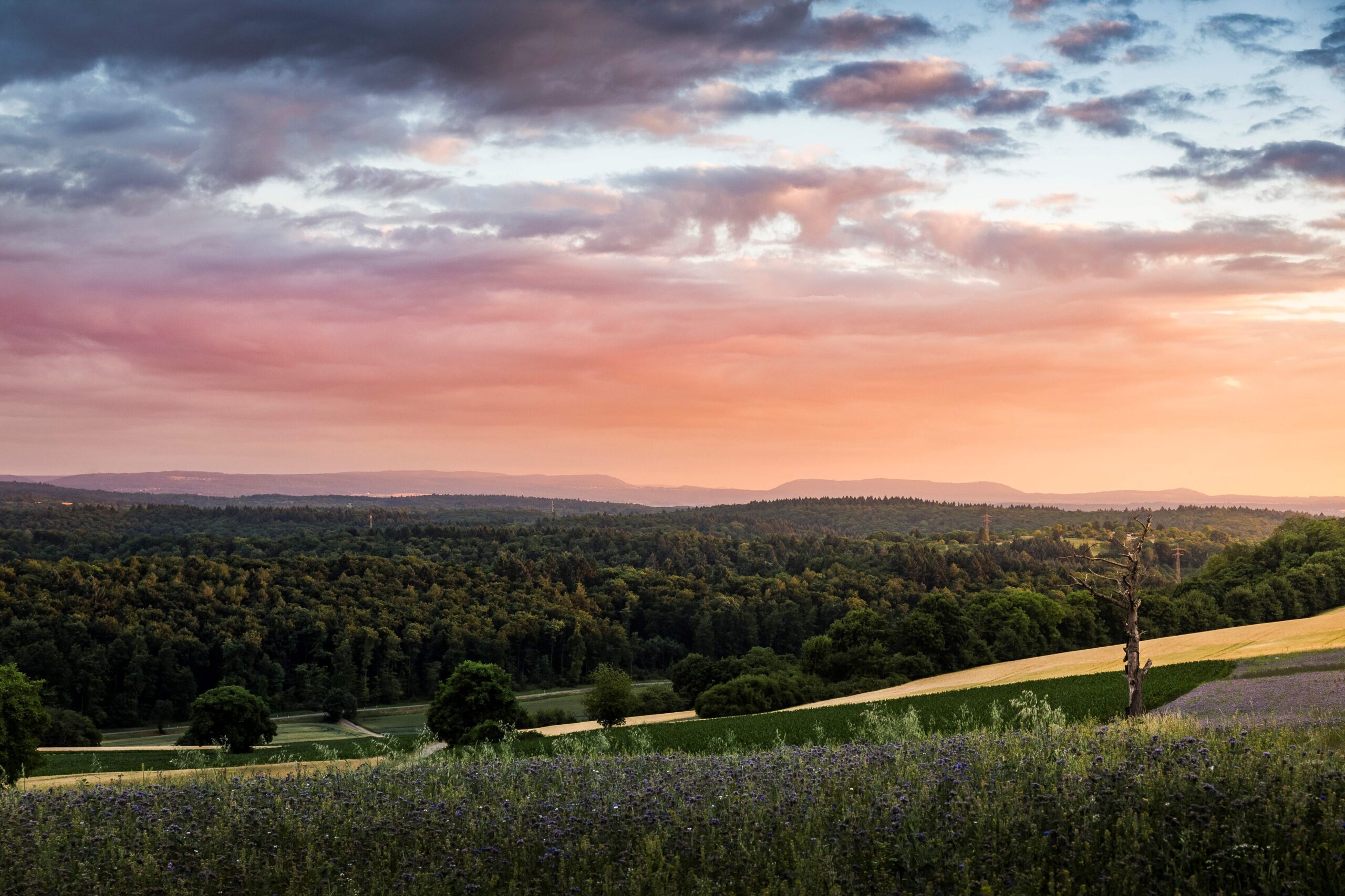 Ogni anno in Italia vengono eseguiti circa 100.000 interventi al menisco. Gli esperti della SIOT spiegano come prevenire, diagnosticare e trattare una delle lesioni ortopediche più diffuse, con particolare attenzione alle nuove tecniche mini-invasive e alle prospettive future della rigenerazione tissutale