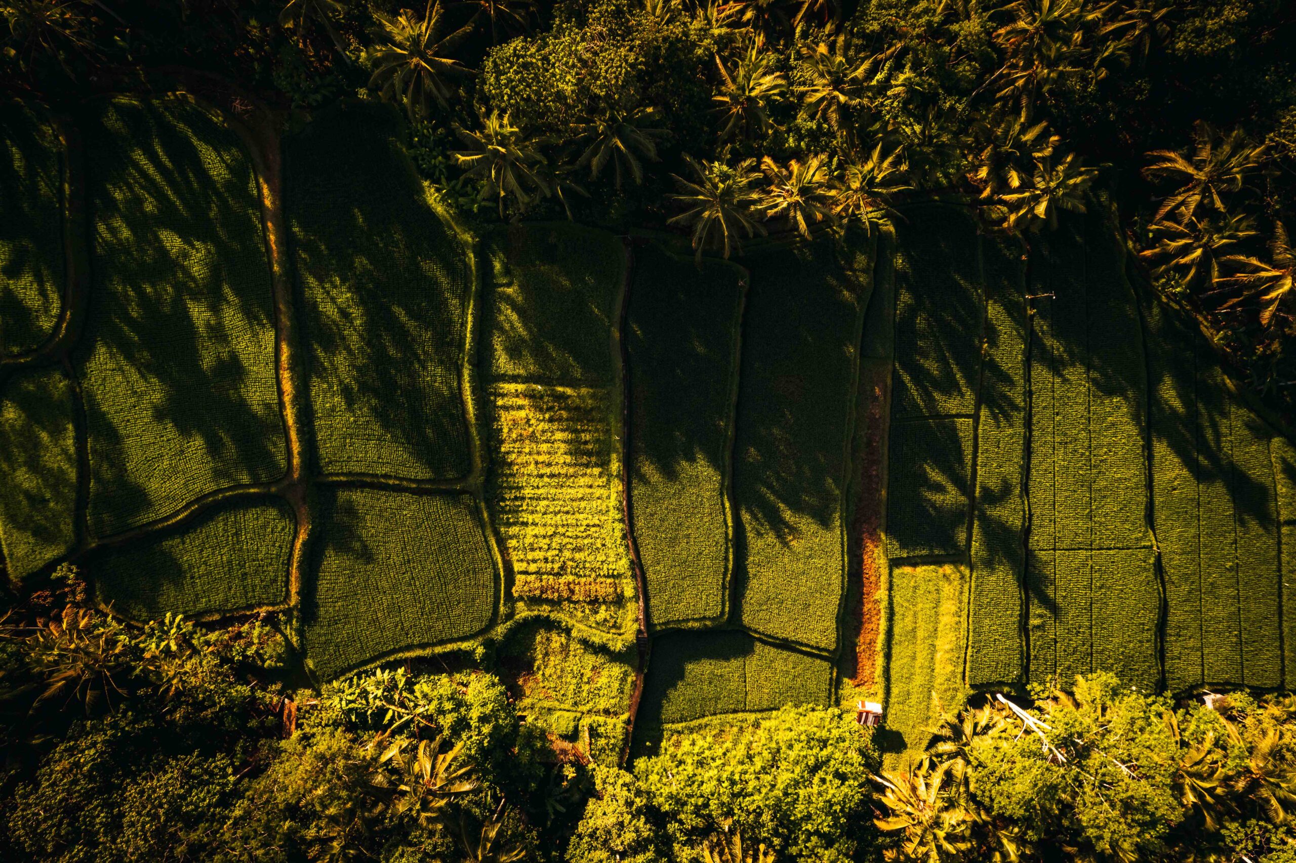 Le malattie intestinali croniche, come la colite ulcerosa e la Malattia di Crohn colpiscono oltre 250.000 italiani. Senza un intervento precoce, aumentano le complicanze e il rischio di cancro