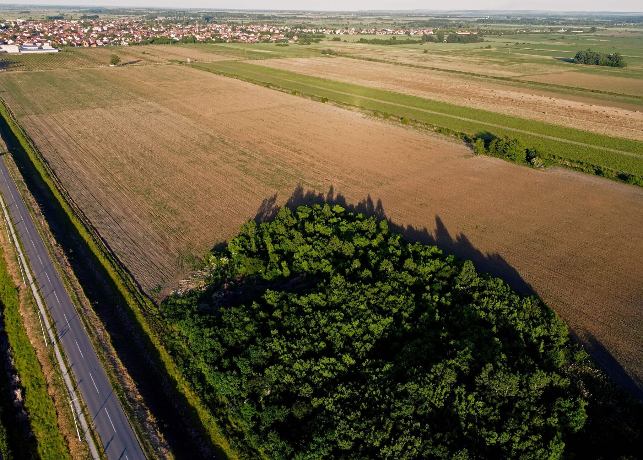 La Commissione europea ha approvato il regolamento di esecuzione che consentirà di migliorare le valutazioni sui dispositivi medici. Si tratta di un nuovo passaggio per la completa attuazione del Regolamento HTA