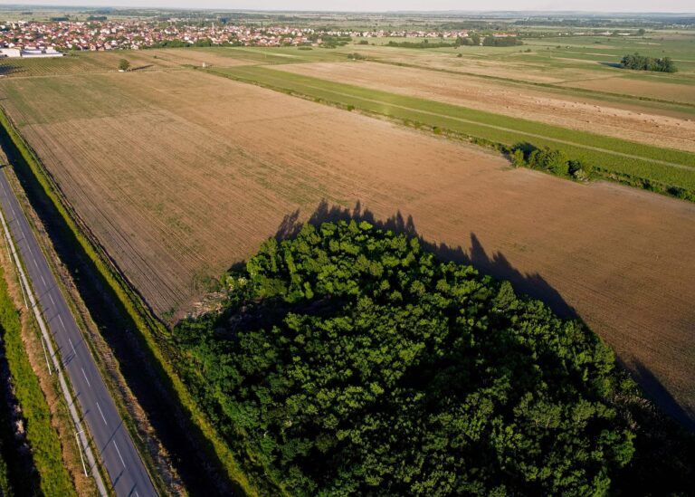 La Commissione europea ha approvato il regolamento di esecuzione che consentirà di migliorare le valutazioni sui dispositivi medici. Si tratta di un nuovo passaggio per la completa attuazione del Regolamento HTA