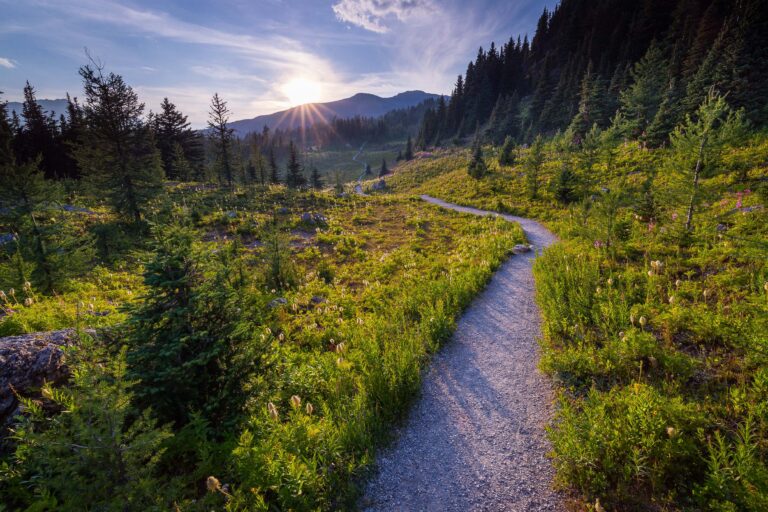 Strumenti, regole e modelli organizzativi per governare la domanda e programmare l’offerta sanitaria secondo la complessità: ecco come risolvere la tematica delle liste d'attesa