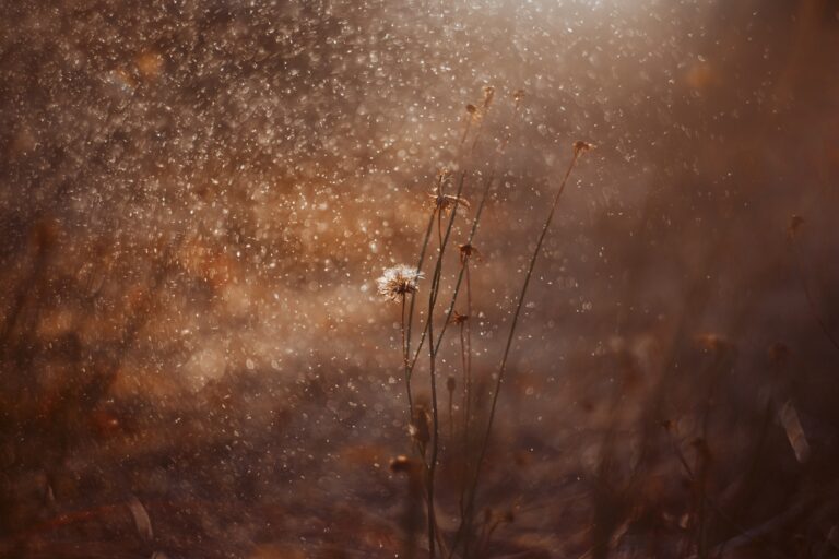 screening tumore polmoni