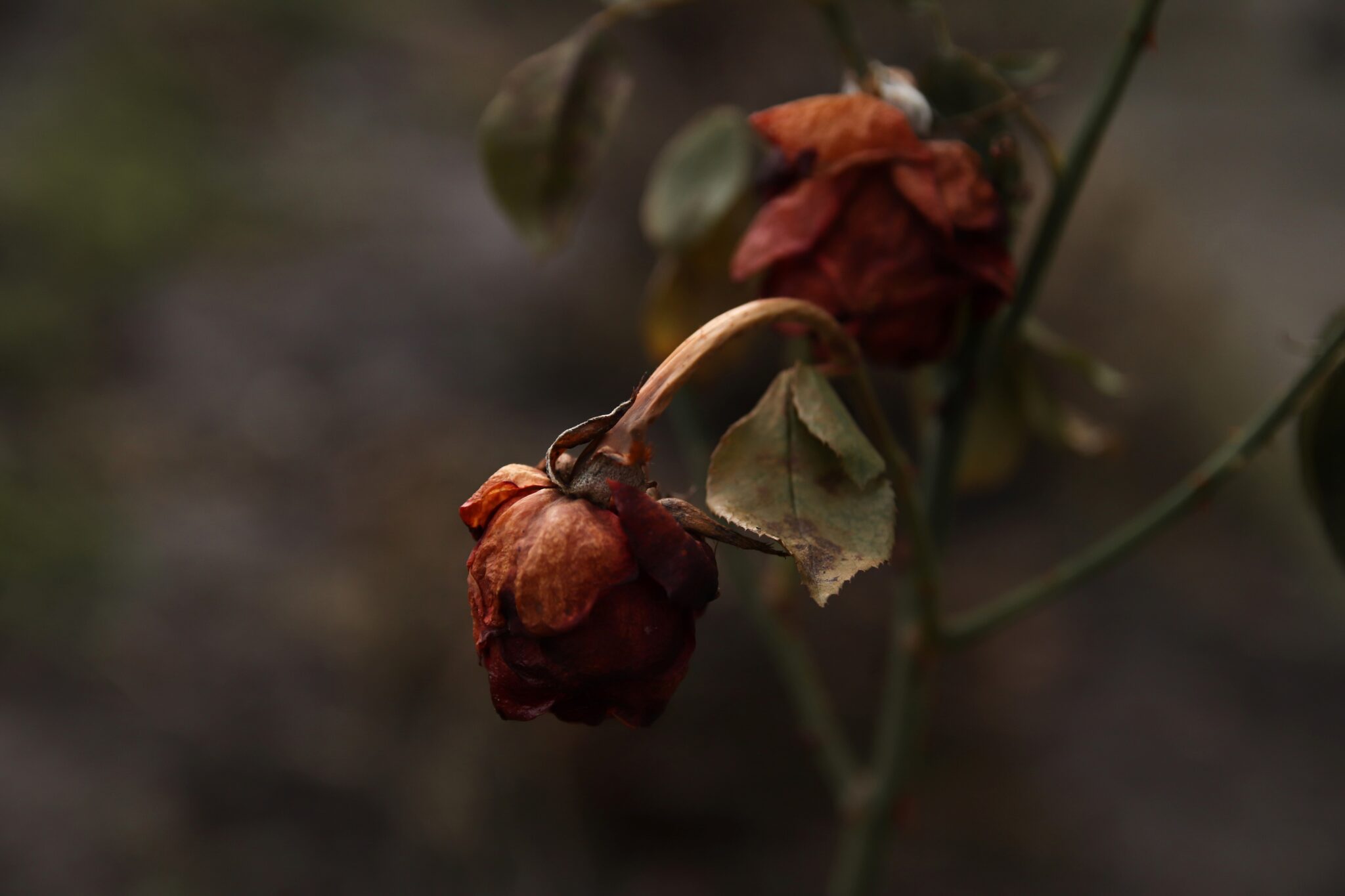 Liste d’attesa infinite, personale allo stremo, Nord e Sud sempre più distanti e cittadini ancor più sfiduciati: il malato è la nostra sanità