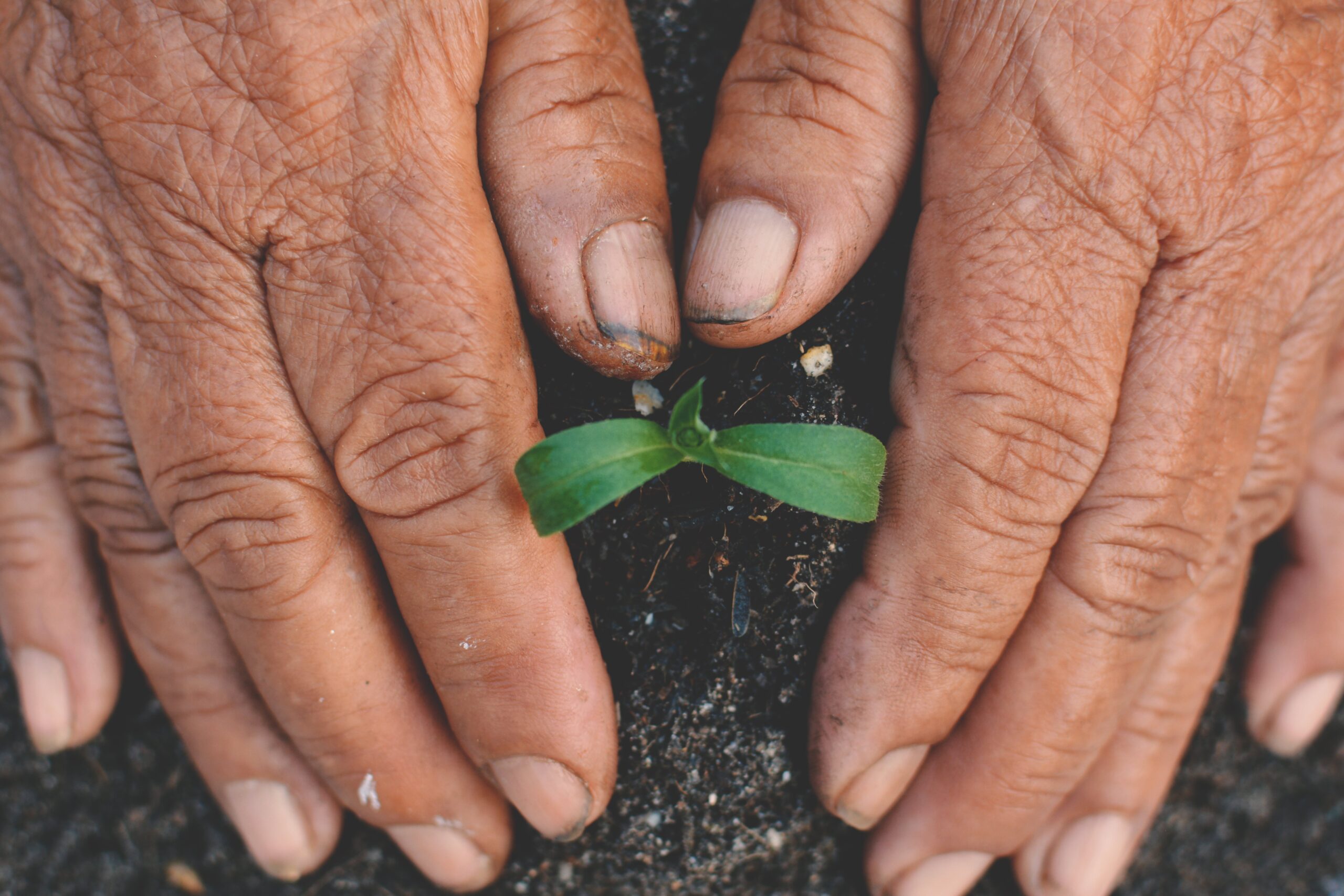 Tendenza positiva nei primi mesi di campagna soprattutto con i soggetti fragili, ma resta la sfida degli indecisi