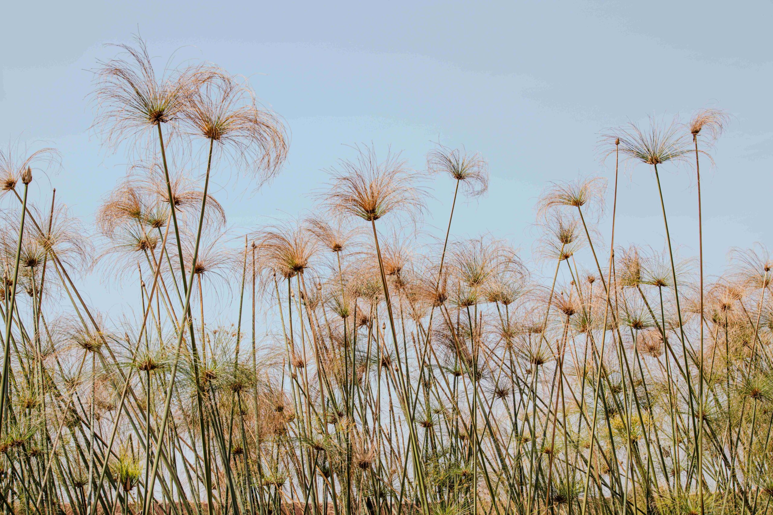 Stigma ancora radicato, ma aumenta la consapevolezza sui problemi relativi alla salute mentale e la propensione a chiedere aiuto ai professionisti