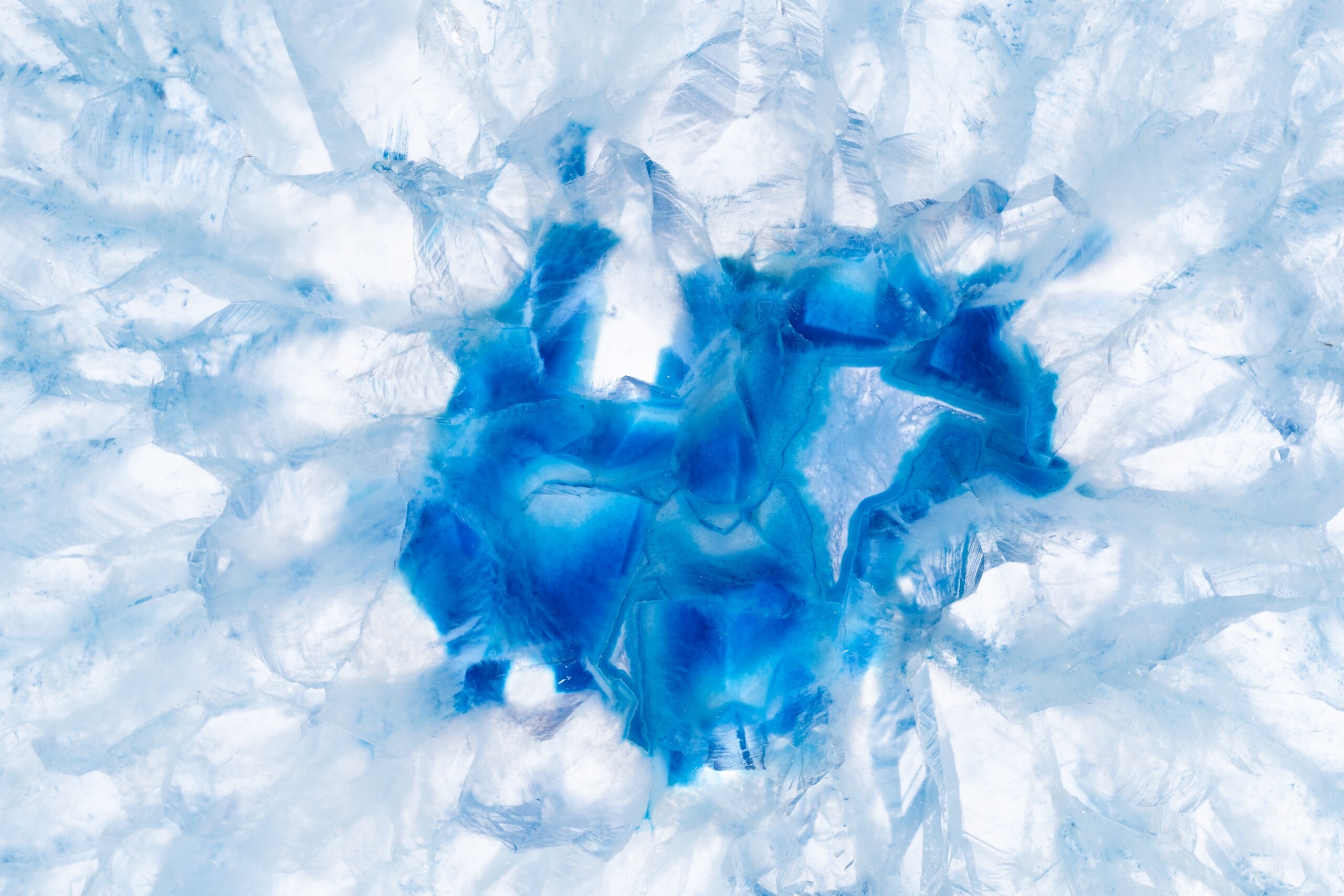 virus permafrost
